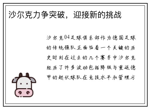 沙尔克力争突破，迎接新的挑战