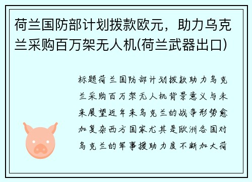 荷兰国防部计划拨款欧元，助力乌克兰采购百万架无人机(荷兰武器出口)